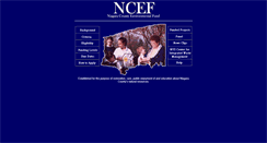 Desktop Screenshot of ncef.buffalo.edu